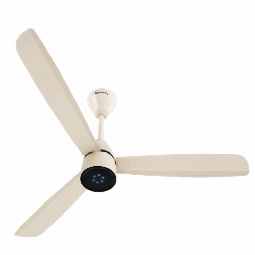 Renesa Prime ( Seasand Ivory )