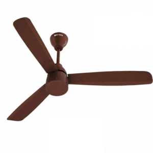 Renesa Prime ( Gloss Brown )