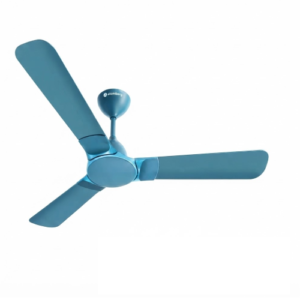 Erica Nuvo ( Aegean Blue )