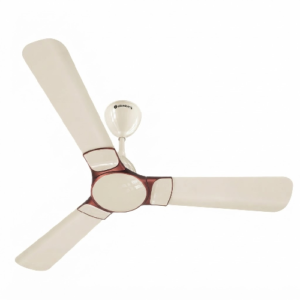 Erica Nuvo ( Seasand Ivory )
