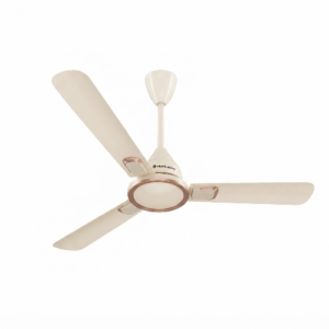 Erica Signature ( Seasand Ivory )
