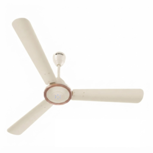 Erica Meta ( Seasand Ivory )