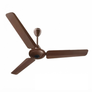 Ikano ( Gloss Brown )